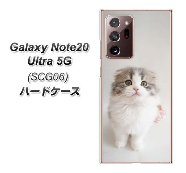 au ギャラクシー ノート20 ウルトラ 5G SCG06 高画質仕上げ 背面印刷 ハードケース【VA803 まっていますネコ】