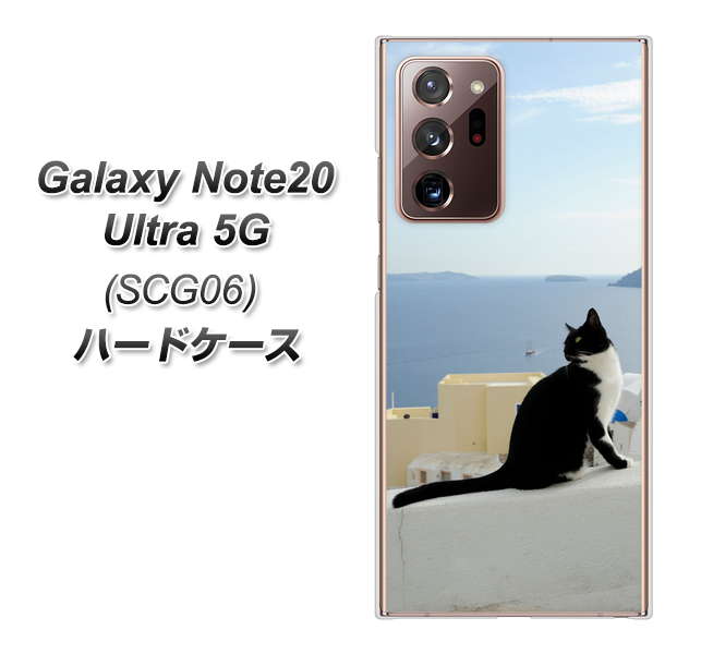 au ギャラクシー ノート20 ウルトラ 5G SCG06 高画質仕上げ 背面印刷 ハードケース【VA805 ネコと地中海】