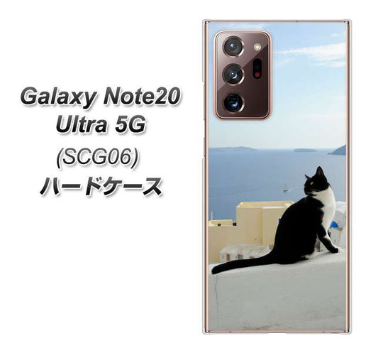 au ギャラクシー ノート20 ウルトラ 5G SCG06 高画質仕上げ 背面印刷 ハードケース【VA805 ネコと地中海】