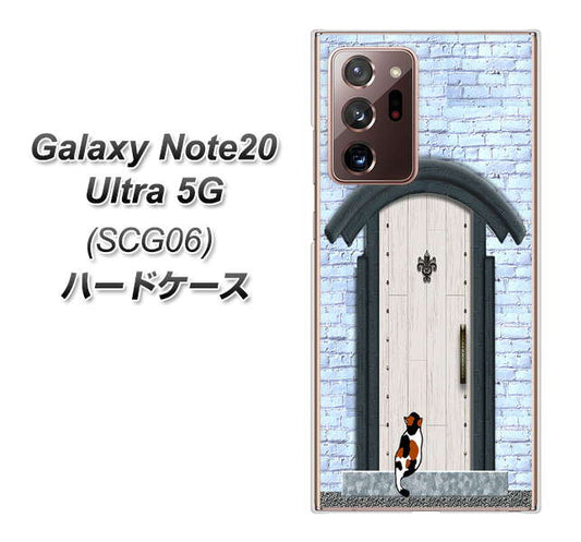 au ギャラクシー ノート20 ウルトラ 5G SCG06 高画質仕上げ 背面印刷 ハードケース【YA951 石ドア01】