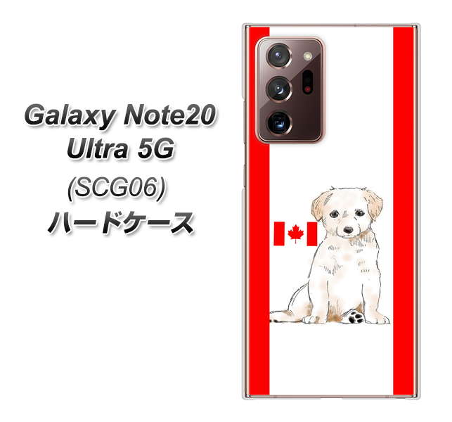 au ギャラクシー ノート20 ウルトラ 5G SCG06 高画質仕上げ 背面印刷 ハードケース【YD824 ラブラドールレトリバー05】