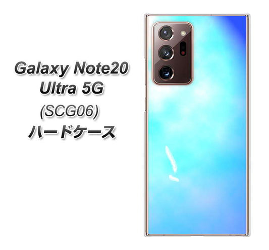 au ギャラクシー ノート20 ウルトラ 5G SCG06 高画質仕上げ 背面印刷 ハードケース【YJ291 デザイン 光】