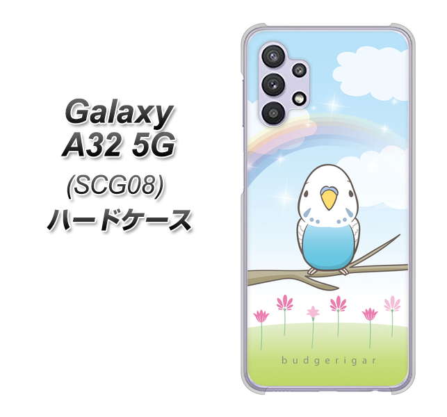 au ギャラクシーA32 5G SCG08 高画質仕上げ 背面印刷 ハードケース【SC839 セキセイインコ ブルー】