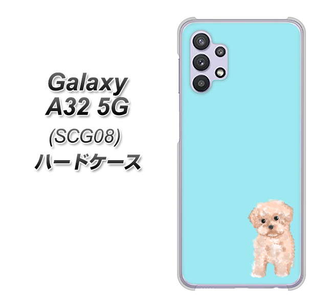 au ギャラクシーA32 5G SCG08 高画質仕上げ 背面印刷 ハードケース【YJ062 トイプードルアプリコット(ブルー)】