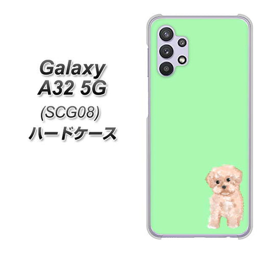 au ギャラクシーA32 5G SCG08 高画質仕上げ 背面印刷 ハードケース【YJ063 トイプードルアプリコット(グリーン)】