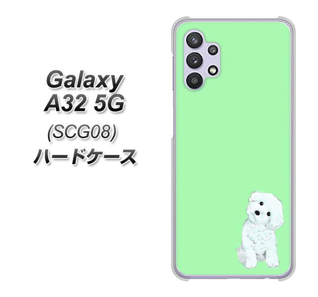 au ギャラクシーA32 5G SCG08 高画質仕上げ 背面印刷 ハードケース【YJ071 トイプードルホワイト(グリーン)】
