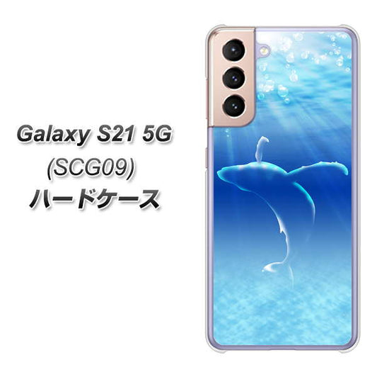 au ギャラクシーS21 5G SCG09 高画質仕上げ 背面印刷 ハードケース【1047 海の守り神くじら】