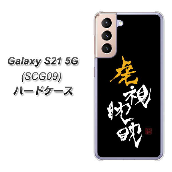 au ギャラクシーS21 5G SCG09 高画質仕上げ 背面印刷 ハードケース【OE803 虎視眈々】