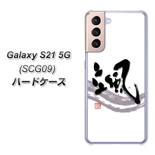 au ギャラクシーS21 5G SCG09 高画質仕上げ 背面印刷 ハードケース【OE827 颯】
