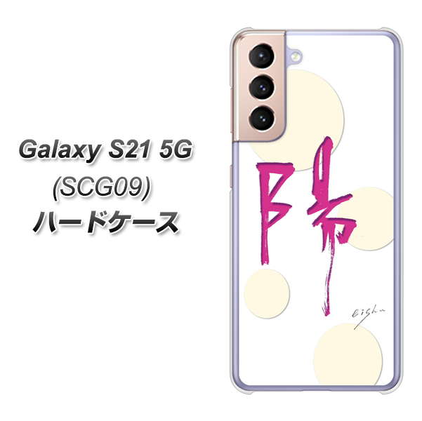 au ギャラクシーS21 5G SCG09 高画質仕上げ 背面印刷 ハードケース【OE833 陽】