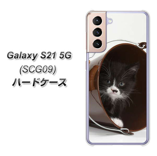 au ギャラクシーS21 5G SCG09 高画質仕上げ 背面印刷 ハードケース【VA800 ネコとバケツ】