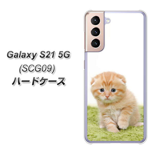 au ギャラクシーS21 5G SCG09 高画質仕上げ 背面印刷 ハードケース【VA802 ネコこっそり】
