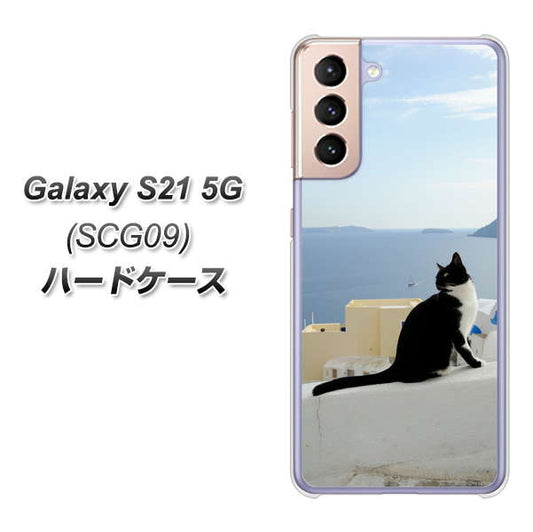 au ギャラクシーS21 5G SCG09 高画質仕上げ 背面印刷 ハードケース【VA805 ネコと地中海】