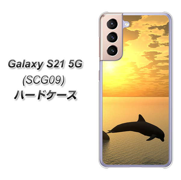 au ギャラクシーS21 5G SCG09 高画質仕上げ 背面印刷 ハードケース【VA845 夕暮れのドルフィン】