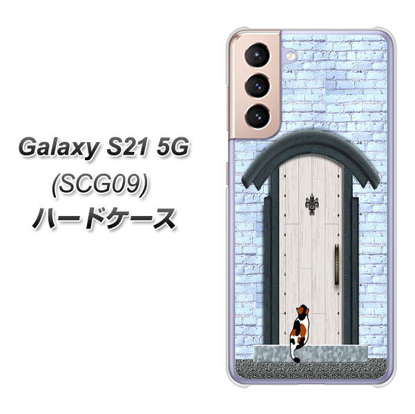 au ギャラクシーS21 5G SCG09 高画質仕上げ 背面印刷 ハードケース【YA951 石ドア01】