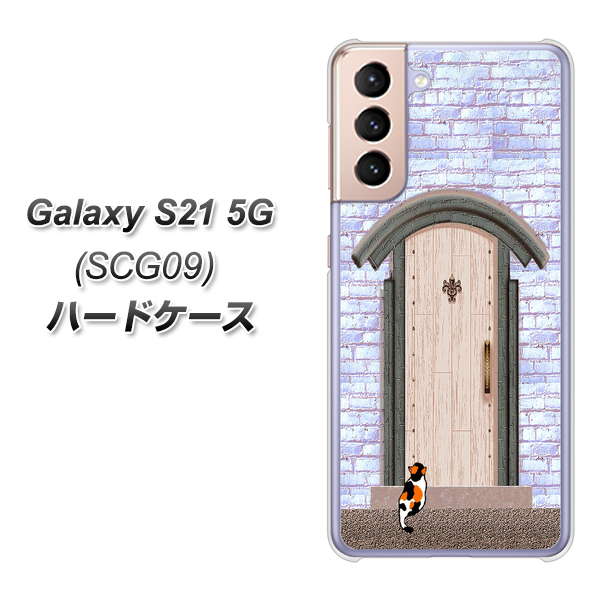 au ギャラクシーS21 5G SCG09 高画質仕上げ 背面印刷 ハードケース【YA952 石ドア02 素材クリア】