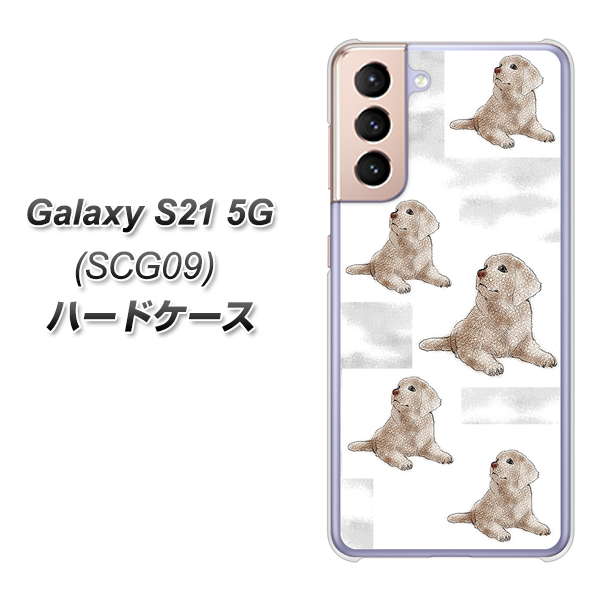 au ギャラクシーS21 5G SCG09 高画質仕上げ 背面印刷 ハードケース【YD823 ラブラドールレトリバー04】