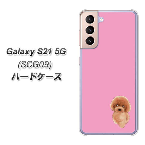 au ギャラクシーS21 5G SCG09 高画質仕上げ 背面印刷 ハードケース【YJ049 トイプードルレッド(ピンク)】
