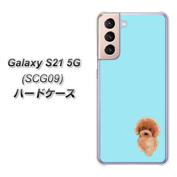 au ギャラクシーS21 5G SCG09 高画質仕上げ 背面印刷 ハードケース【YJ050 トイプードルレッド(ブルー)】