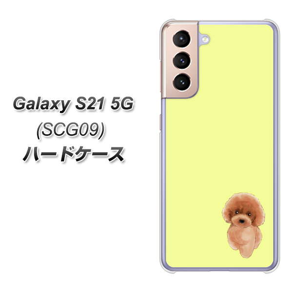 au ギャラクシーS21 5G SCG09 高画質仕上げ 背面印刷 ハードケース【YJ051 トイプードルレッド(イエロー)】