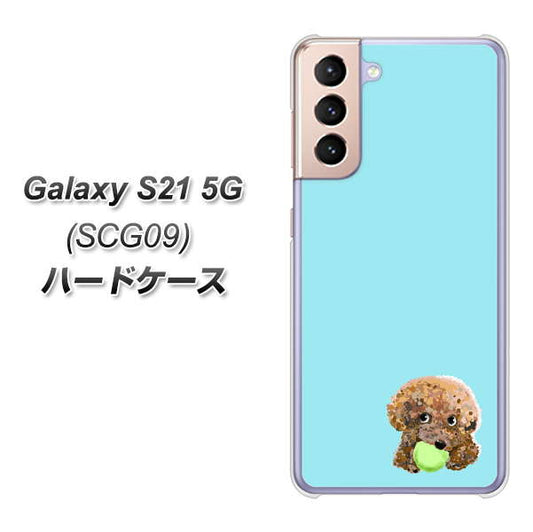 au ギャラクシーS21 5G SCG09 高画質仕上げ 背面印刷 ハードケース【YJ054 トイプードル&ボール(ブルー)】
