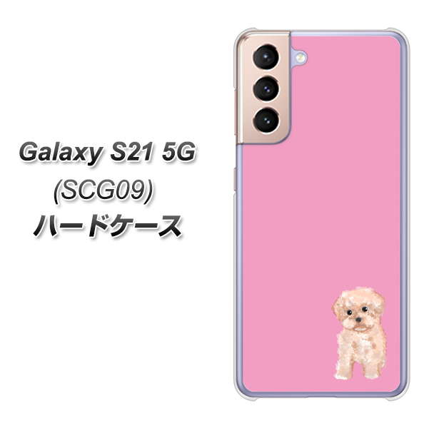 au ギャラクシーS21 5G SCG09 高画質仕上げ 背面印刷 ハードケース【YJ061 トイプードルアプリコット(ピンク)】