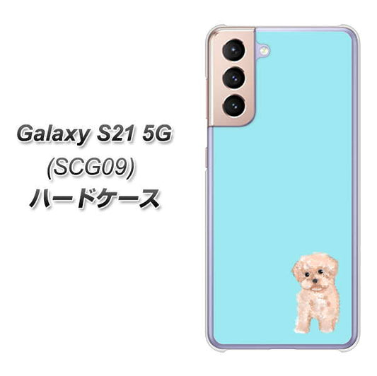 au ギャラクシーS21 5G SCG09 高画質仕上げ 背面印刷 ハードケース【YJ062 トイプードルアプリコット(ブルー)】