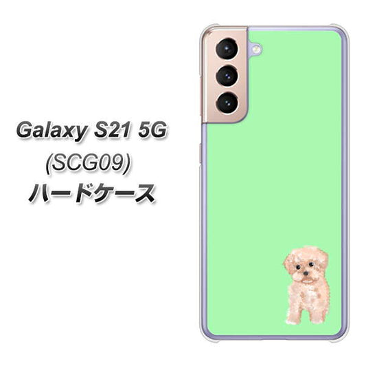 au ギャラクシーS21 5G SCG09 高画質仕上げ 背面印刷 ハードケース【YJ063 トイプードルアプリコット(グリーン)】
