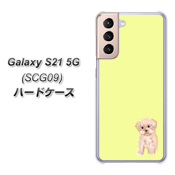 au ギャラクシーS21 5G SCG09 高画質仕上げ 背面印刷 ハードケース【YJ064 トイプードルアプリコット(イエロー)】