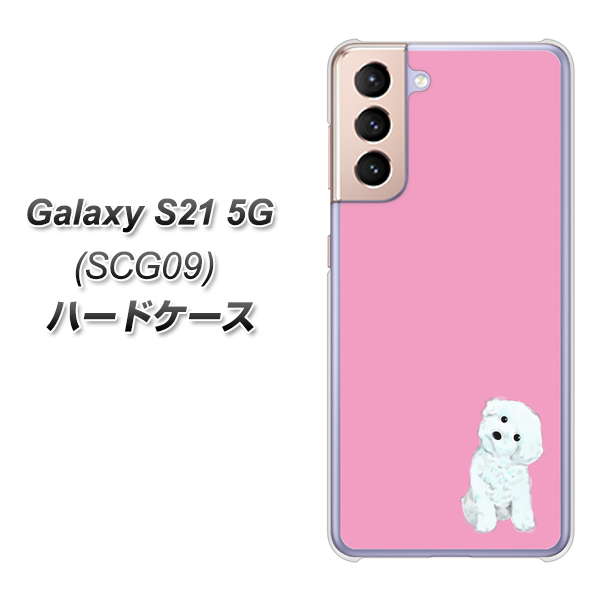 au ギャラクシーS21 5G SCG09 高画質仕上げ 背面印刷 ハードケース【YJ069 トイプードルホワイト(ピンク)】