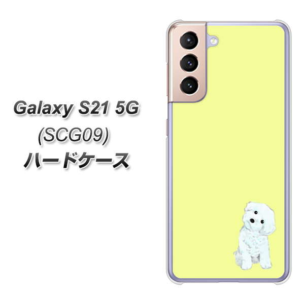 au ギャラクシーS21 5G SCG09 高画質仕上げ 背面印刷 ハードケース【YJ072 トイプードルホワイト(イエロー)】
