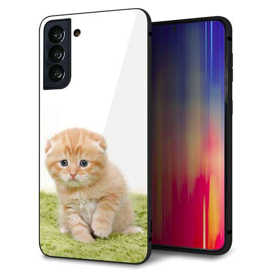 au ギャラクシーS21+ 5G SCG10 強化ガラス&TPUスマホケース ガラプリ【VA802 ネコこっそり】