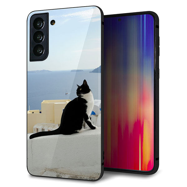 au ギャラクシーS21+ 5G SCG10 強化ガラス&TPUスマホケース ガラプリ【VA805 ネコと地中海】