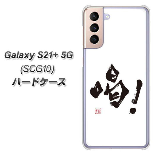 au ギャラクシーS21+ 5G SCG10 高画質仕上げ 背面印刷 ハードケース【OE845 喝!】