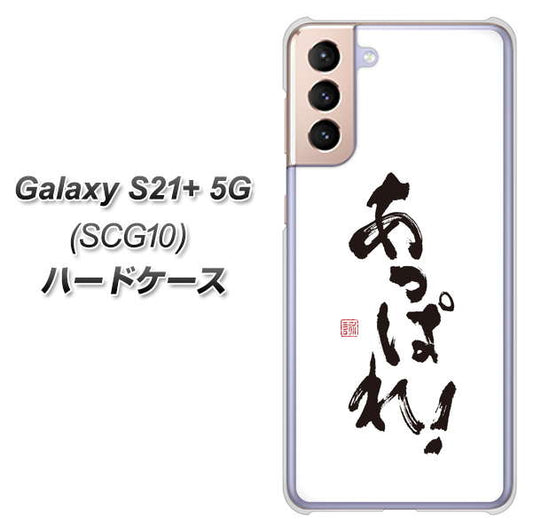 au ギャラクシーS21+ 5G SCG10 高画質仕上げ 背面印刷 ハードケース【OE846 あっぱれ!】