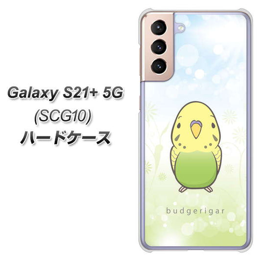 au ギャラクシーS21+ 5G SCG10 高画質仕上げ 背面印刷 ハードケース【SC838 セキセイインコ グリーン】