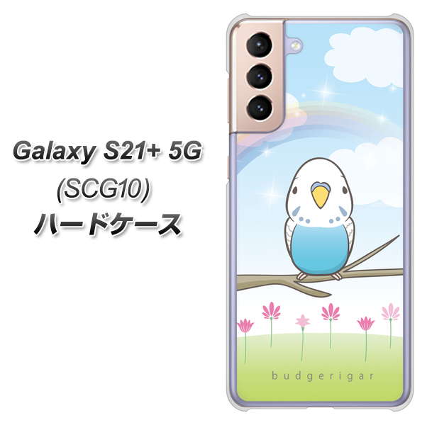 au ギャラクシーS21+ 5G SCG10 高画質仕上げ 背面印刷 ハードケース【SC839 セキセイインコ ブルー】
