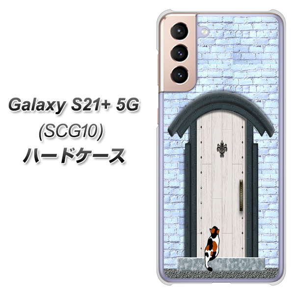 au ギャラクシーS21+ 5G SCG10 高画質仕上げ 背面印刷 ハードケース【YA951 石ドア01】