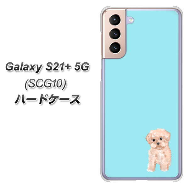 au ギャラクシーS21+ 5G SCG10 高画質仕上げ 背面印刷 ハードケース【YJ062 トイプードルアプリコット(ブルー)】