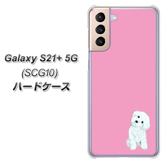 au ギャラクシーS21+ 5G SCG10 高画質仕上げ 背面印刷 ハードケース【YJ069 トイプードルホワイト(ピンク)】