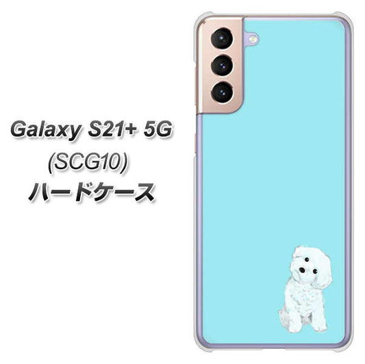 au ギャラクシーS21+ 5G SCG10 高画質仕上げ 背面印刷 ハードケース【YJ070 トイプードルホワイト(ブルー)】