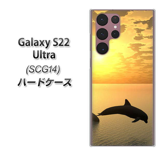 Galaxy S22 Ultra SCG14 au 高画質仕上げ 背面印刷 ハードケース【VA845 夕暮れのドルフィン】