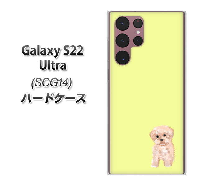 Galaxy S22 Ultra SCG14 au 高画質仕上げ 背面印刷 ハードケース【YJ064 トイプードルアプリコット(イエロー)】