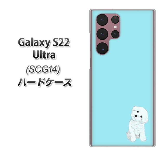 Galaxy S22 Ultra SCG14 au 高画質仕上げ 背面印刷 ハードケース【YJ070 トイプードルホワイト(ブルー)】