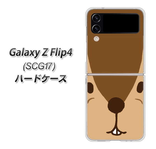 Galaxy Z Flip4 SCG17 au 高画質仕上げ 背面印刷 ハードケース【349 りす】