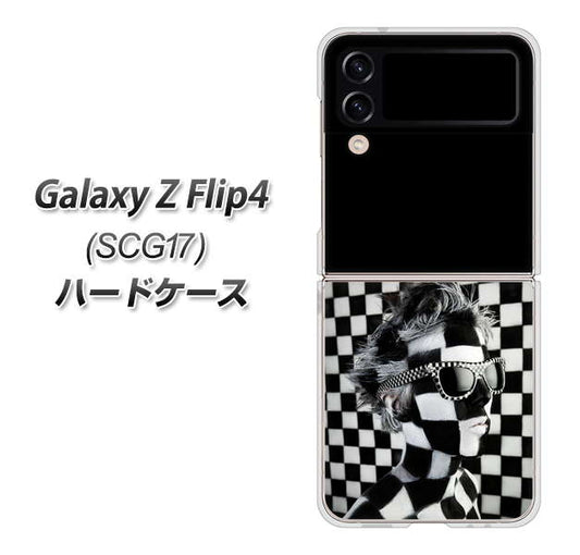 Galaxy Z Flip4 SCG17 au 高画質仕上げ 背面印刷 ハードケース【357 bk&wh】