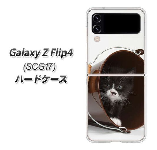Galaxy Z Flip4 SCG17 au 高画質仕上げ 背面印刷 ハードケース【VA800 ネコとバケツ】