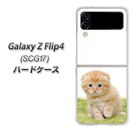 Galaxy Z Flip4 SCG17 au 高画質仕上げ 背面印刷 ハードケース【VA802 ネコこっそり】