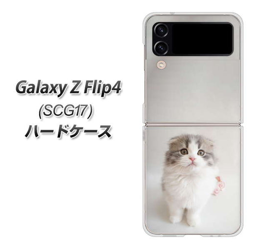 Galaxy Z Flip4 SCG17 au 高画質仕上げ 背面印刷 ハードケース【VA803 まっていますネコ】