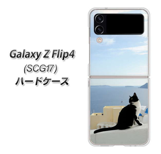 Galaxy Z Flip4 SCG17 au 高画質仕上げ 背面印刷 ハードケース【VA805 ネコと地中海】